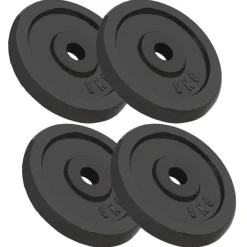 Fitness*vidaXL Halterschijven 4 st 4x5 kg gietijzer