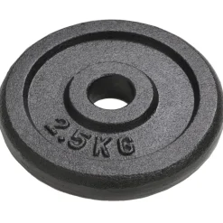 Halterschijven 8 st 8x2,5 kg gietijzer>vidaXL Outlet