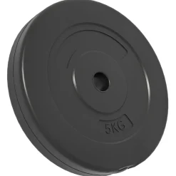 Fitness*vidaXL Halterschijven 4 st 30 kg beton