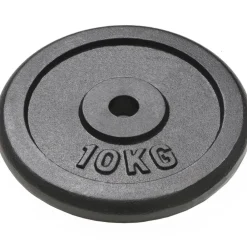 Halterschijven 2 st 2x10 kg gietijzer>vidaXL Discount