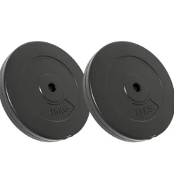 Halterschijven 2 stuks 30 kg beton>vidaXL Online