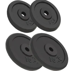 Fitness*vidaXL Halterschijven 4 st 2x10 kg en 2x5 kg gietijzer