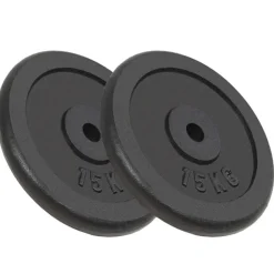 Halterschijven 2 st 2x15 kg gietijzer>vidaXL Discount