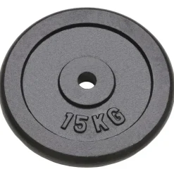 Halterschijven 2 st 2x15 kg gietijzer>vidaXL Discount