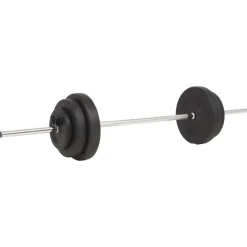 Fitness*vidaXL Halterset 30 kg
