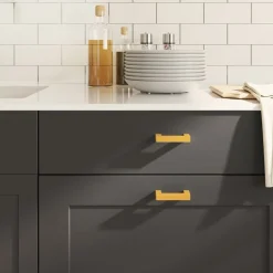 Bouwbeslag*vidaXL Handvatten 10 st 64 mm roestvrij staal kleurig Goud