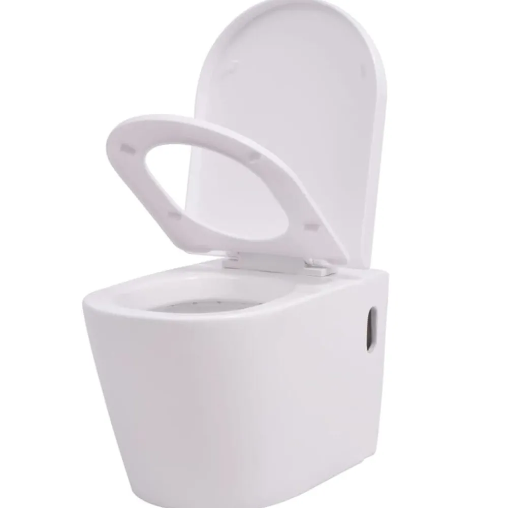 Hangend toilet keramiek>vidaXL Sale