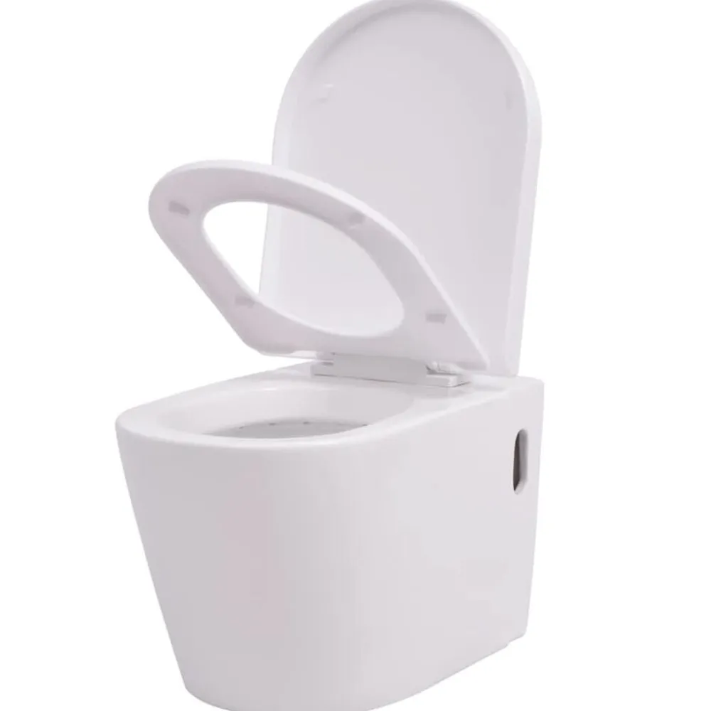 Hangend toilet met verborgen stortbak keramiek>vidaXL Online
