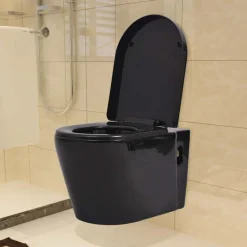 Sanitair & Loodgietersbenodigdheden*vidaXL Hangend toilet met verborgen stortbak keramiek Zwart