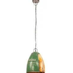 Verlichting*vidaXL Hanglamp industrieel rond 25 W E27 32 cm meerkleurig Multikleur