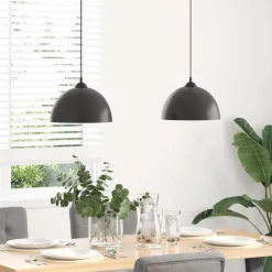 Verlichting*vidaXL Hanglampen 2 st In hoogte verstelbaar E27 30 cm metaal Zwart