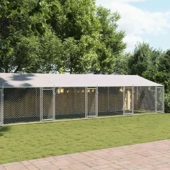 Hondenhok met dak en deuren 10x2x2 m gegalvaniseerd staal grijs><noscript><img width=