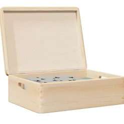 Huishoudelijke Benodigdheden*vidaXL Houten kist met deksel&handvatten 40x30x13cm massief grenenhout Naturel
