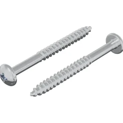 Houten Schroef 2 pcs Zilver 9,8 x 53 mm Staal>vidaXL New