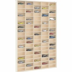 Houten Verzamelaarsvitrine met 90 Vakken 50,5x4,5x79cm>vidaXL