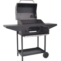 Houtskoolbarbecue met onderplank zwart>vidaXL