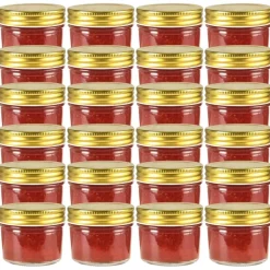 Keuken & Eetkamer*vidaXL Jampotten met kleurige deksels 24 st 110 ml glas Goud