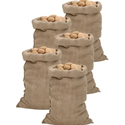 Bagage & Tassen*vidaXL Jutezakken 5 stuks 340 g/m² 60x105 cm 100% jute