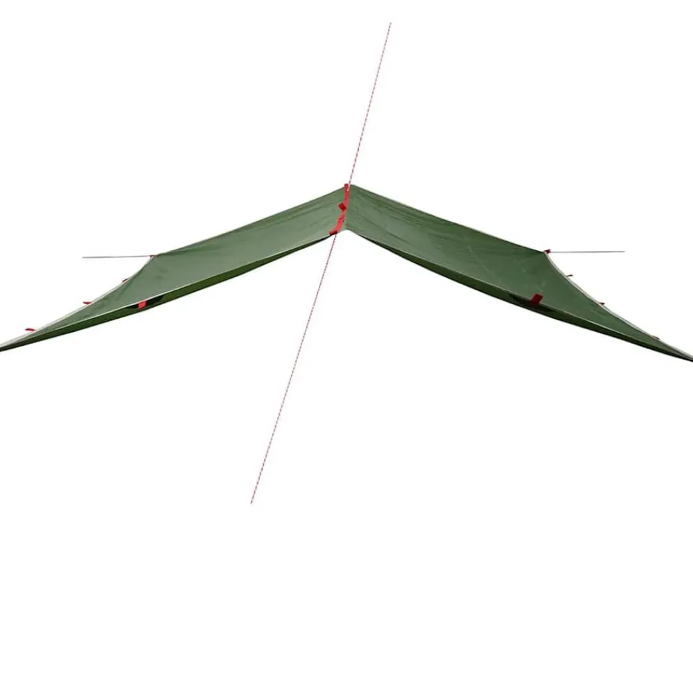 Buitensport*vidaXL Kampeerluifel waterdicht 300x294 cm Groen