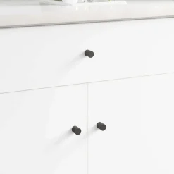 Bouwbeslag*vidaXL Kastknop 2 pcs Zwart 18 x 23 mm IJzer
