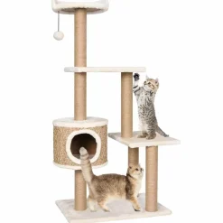 Kattenmeubel met krabpalen 123 cm zeegras>vidaXL Online