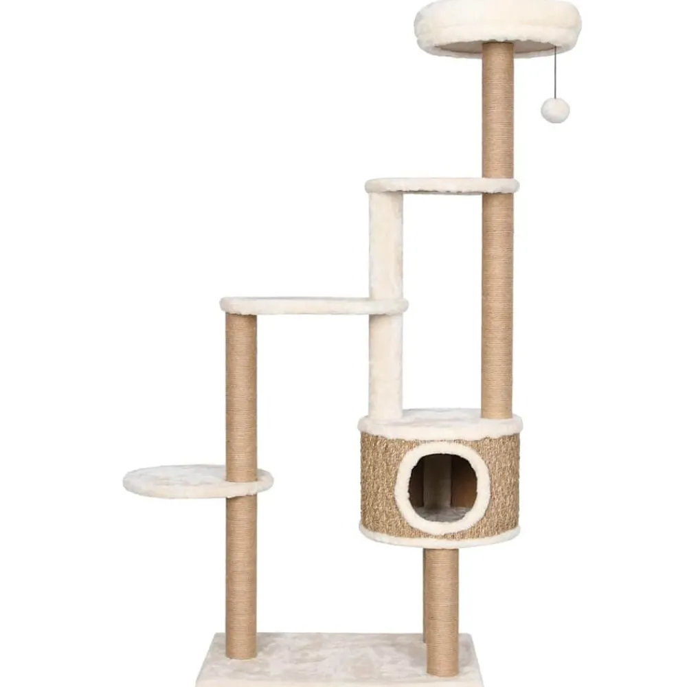 Huisdierbenodigdheden*vidaXL Kattenmeubel met luxe kussen en krabpalen 148 cm zeegras