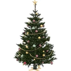 Woon- & Tuinaccessoires*vidaXL Kerstboomstandaard 50 x 50 x 16 cm Massief grenenhout Groen