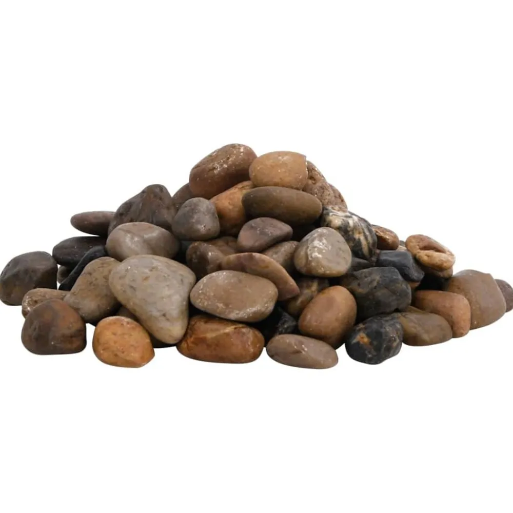 Huisdierbenodigdheden*vidaXL Kiezelstenen gepolijst 2-5 cm 10 kg meerkleurig