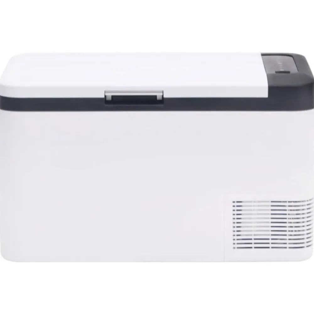 Keuken & Eetkamer*vidaXL Koelbox met handvat 18 L PP & PE zwart en wit