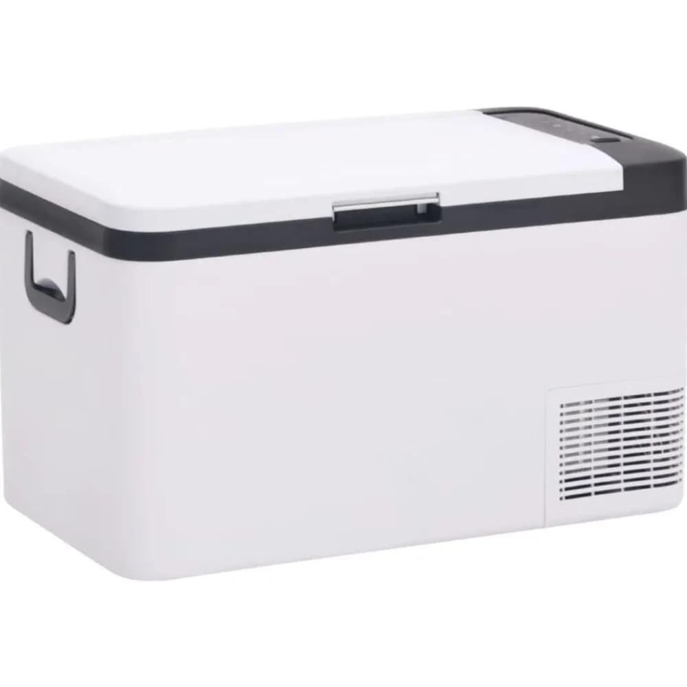 Keuken & Eetkamer*vidaXL Koelbox met handvat 25 L PP & PE zwart en wit