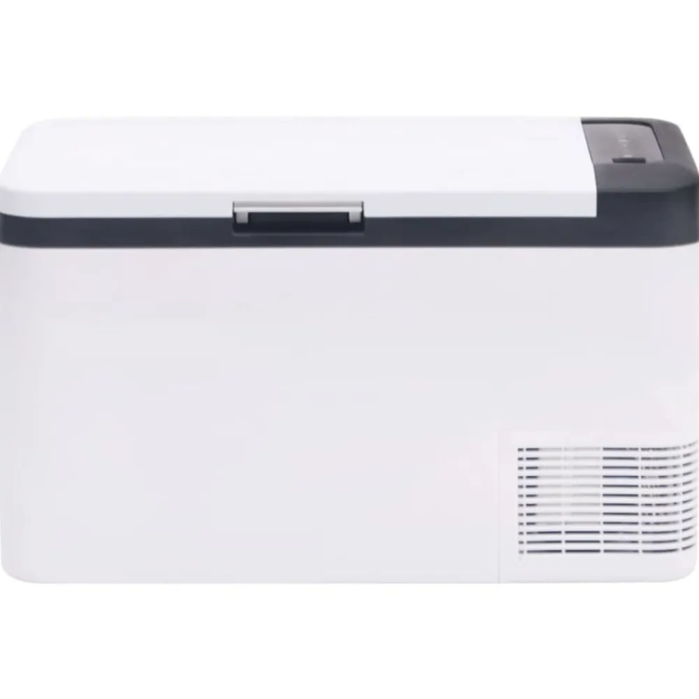 Keuken & Eetkamer*vidaXL Koelbox met handvat 25 L PP & PE zwart en wit
