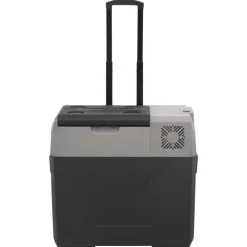 Keuken & Eetkamer*vidaXL Koelbox met wielen en handvat 40 L polypropeen zwart en grijs