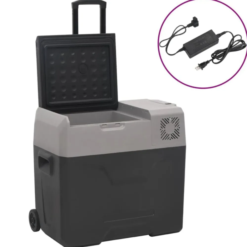 Keuken & Eetkamer*vidaXL Koelbox met wielen en adapter 40 L polypropeen zwart en grijs