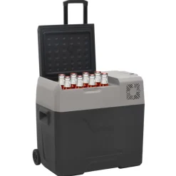 Keuken & Eetkamer*vidaXL Koelbox met wielen en adapter 40 L polypropeen zwart en grijs