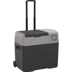 Keuken & Eetkamer*vidaXL Koelbox met wielen en handvat 50 L polypropeen zwart en grijs