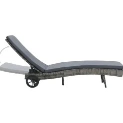 Tuinmeubelen*vidaXL Ligbed met wielen en kussen poly rattan Antraciet
