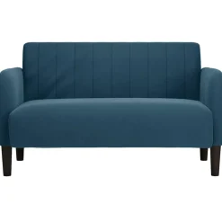 Banken*vidaXL Loveseat bank 109 cm fluweel Blauw