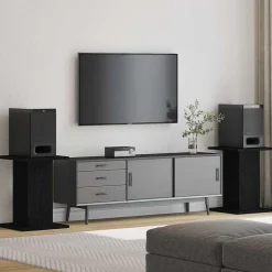 Luidspreker standaards 2 pcs Zwart Eiken>vidaXL Outlet