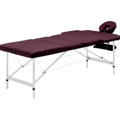 Massagetafel inklapbaar 3 zones aluminum>vidaXL Online
