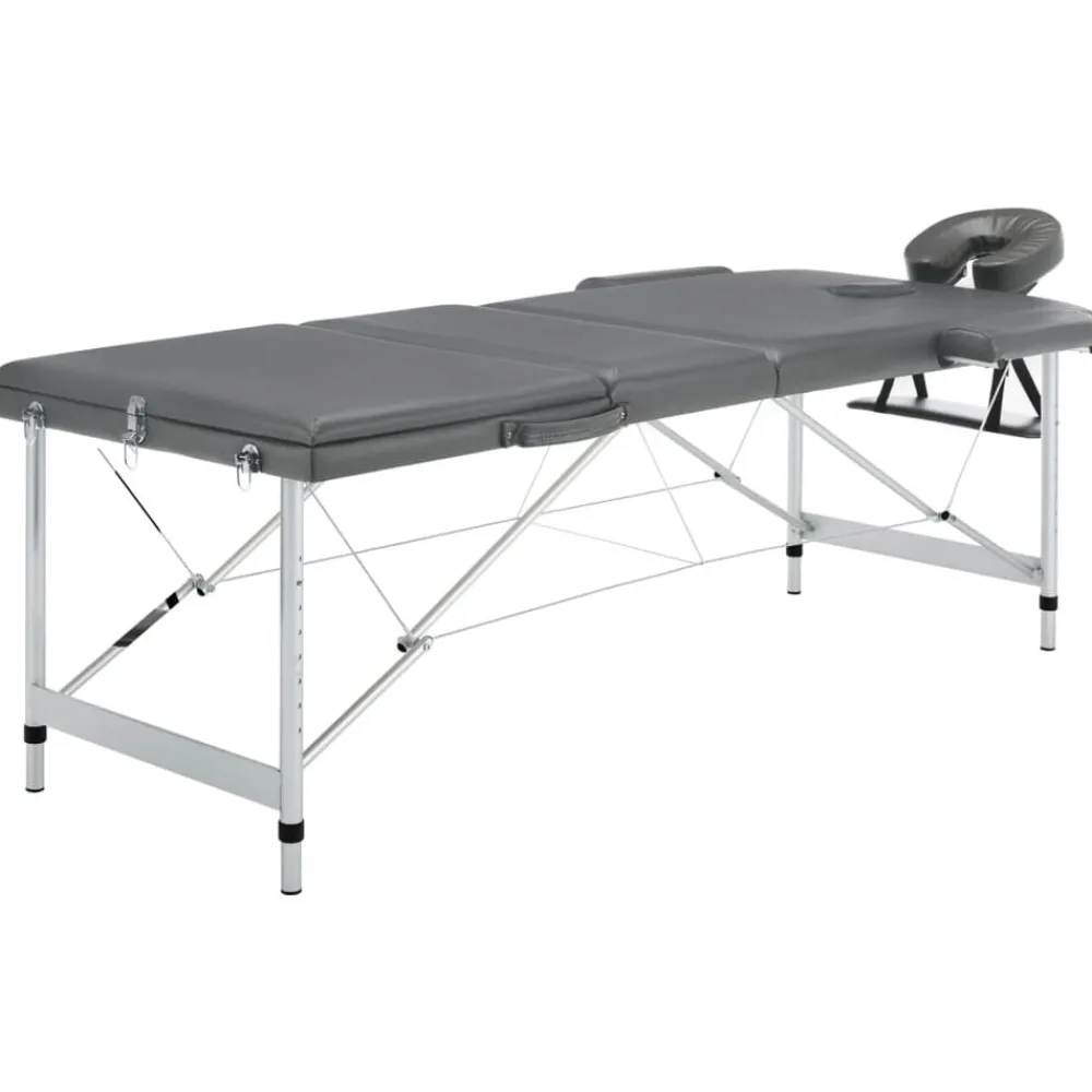 Uiterlijk & Gezondheid*vidaXL Massagetafel met 3 zones 186x68 cm aluminium frame Antraciet