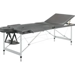 Uiterlijk & Gezondheid*vidaXL Massagetafel met 3 zones 186x68 cm aluminium frame Antraciet