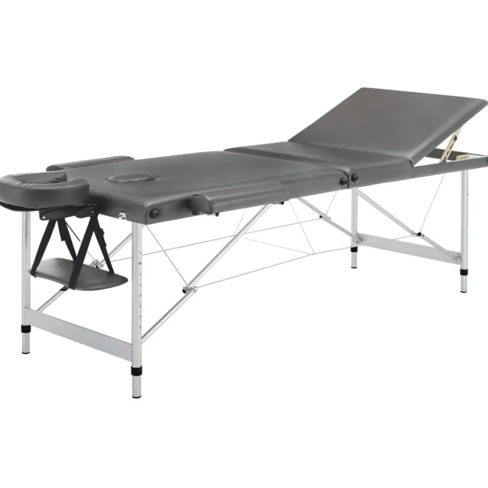 Uiterlijk & Gezondheid*vidaXL Massagetafel met 3 zones 186x68 cm aluminium frame Antraciet