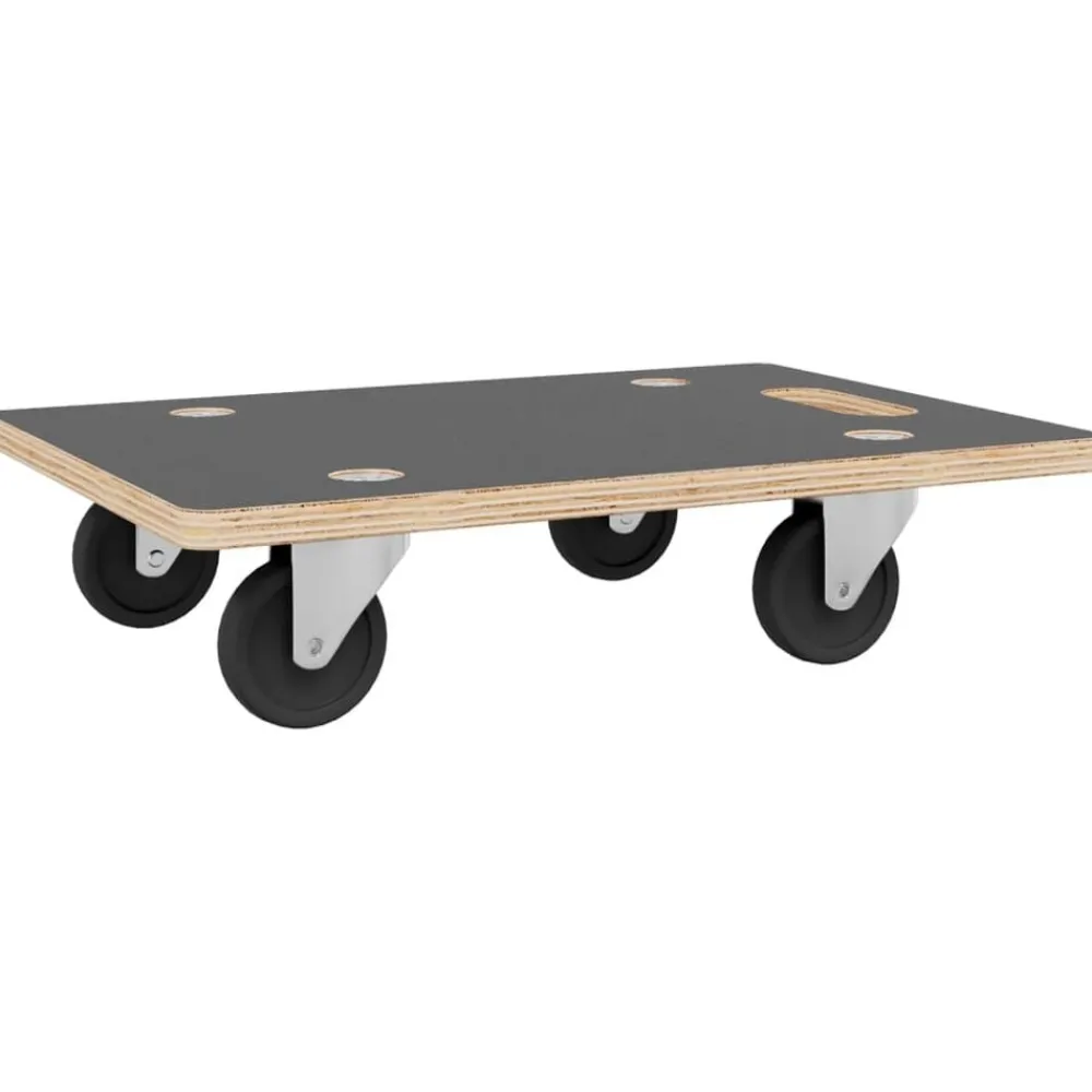 Materiaalbehandeling*vidaXL Meubelhondjes 2 st rechthoekig 250 kg 50x35x11,5 cm