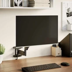 Monitor-muurbeugel 27 inch scherm gasveer 10 kg>vidaXL