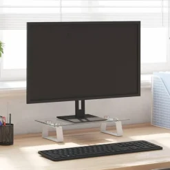 Monitorstandaard 40x20x8 cm gehard glas en metaal>vidaXL Online