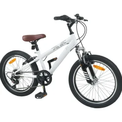 Mountainbike 20 Inch 6-Snelheid voor 5-8 jaar oud>vidaXL Discount