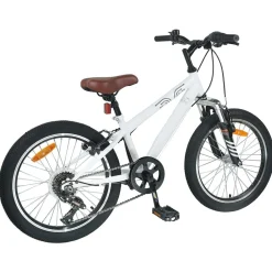Mountainbike 20 Inch 6-Snelheid voor 5-8 jaar oud><noscript><img width=