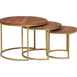 Nest Koffietafels 3 pcs Honingbruin Massief mangohout en staal>vidaXL New