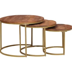 Nest Koffietafels 3 pcs Honingbruin Massief mangohout en staal>vidaXL New