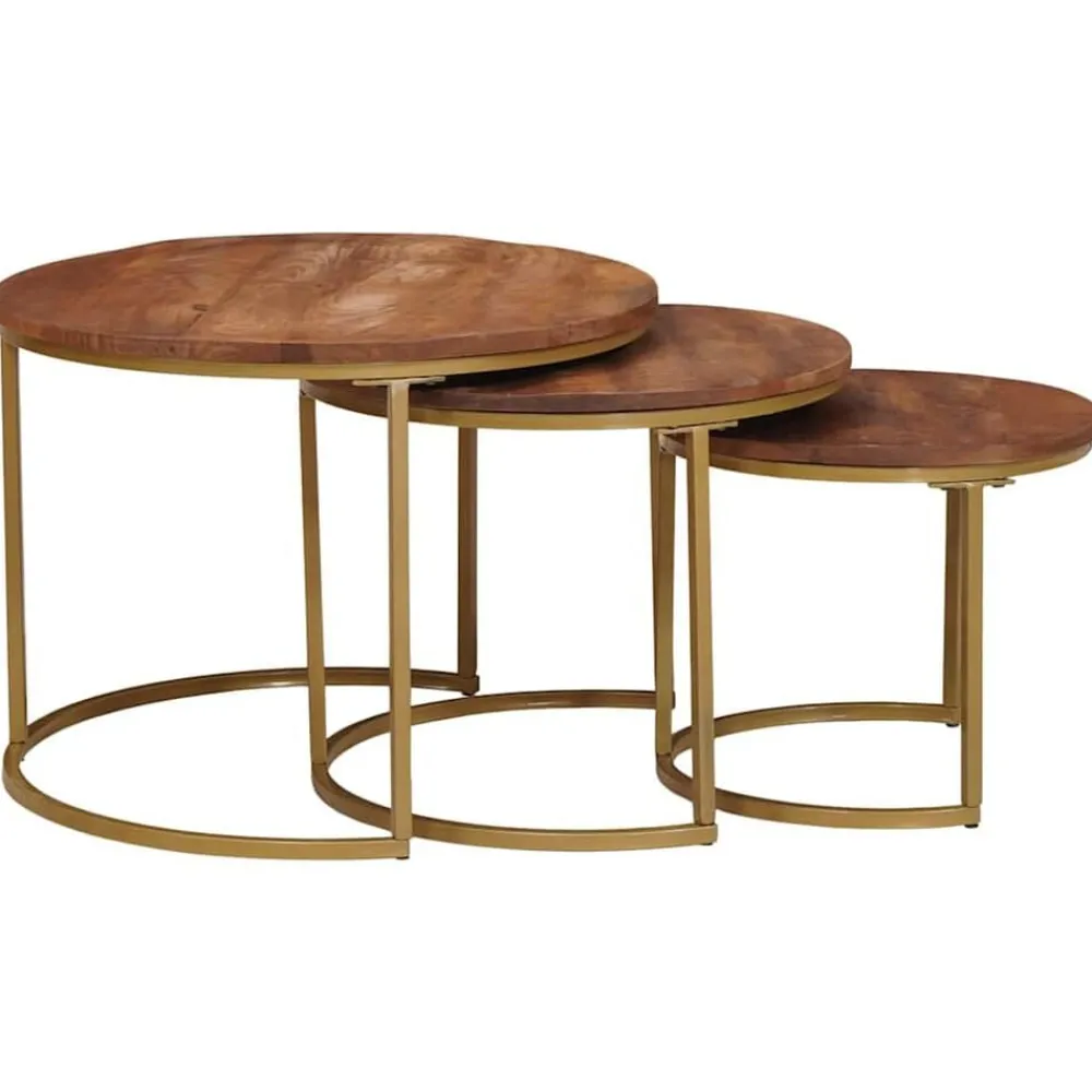 Nest Koffietafels 3 pcs Honingbruin Massief mangohout en staal>vidaXL New